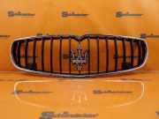 Kühlergrill Mit PDC MASERATI QUATTROPORTE VI 3.0 D 202 KW