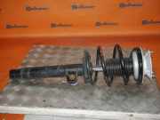 Federbein links vorn BMW 3 (E46) 320I 125 KW 8249030008..
