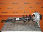 Federbein rechts vorn AUDI A4 (8K2, B8) 2.0 TDI 130 KW 8K0413031CB