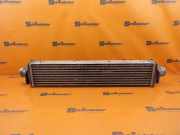 Ladeluftkühler AUDI A5 (F53, F5P) 45 TDI QUATTRO 170 KW 8W0145805AB