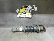 Federbein hinten links Mini Clubman R55 1,6 Mini Mini II Clubman/Clubvan (Typ:R55) Mini Cooper Clubman