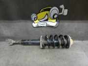 Federbein vorne rechts Passat 3BG B5 1,9TDI 96kw VW Passat B5 Variant / Lim. (Typ:3BG/3B3/3B6) Variant