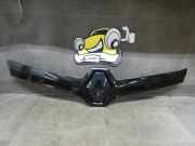 Kühlergrill 620783403R Twingo 2 N Renault Twingo 2 (Typ:N) Twingo