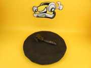 Wischerschalter Hyundai i10 202007962 Hyundai i10 Lim. (Typ:PA) i 10