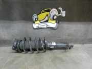 Federbein vorne links DAG9A Fiesta 5 1,3 51kw Ford Fiesta 6 (Typ:JD3/JH1 Lim. 3-/5-tür) Fiesta