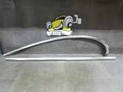 Zierleiste Tür links Jaguar S-Type CCX Jaguar S-Type Lim. (Typ:CCX) *