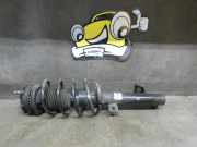 Federbein vorne rechts DAG9A Fiesta 5 1,3 51kw Ford Fiesta 6 (Typ:JD3/JH1 Lim. 3-/5-tür) Fiesta