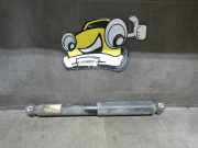 Stoßdämpfer hinten links 2N0513031R Crafter SY VW Crafter-Typ SY (Typ:) Crafter