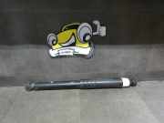 Stoßdämpfer hinten links Renault ZOE AG 51kw Renault ZOE (Typ:BF) Zoe Life