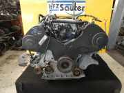 Motor BGH Phaeton 3D 4,2l 246kw Benzin VW Phaeton (Typ:3D) *