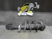 Federbein vorne rechts Renault ZOE AG 51kw Renault ZOE (Typ:BF) Zoe Life