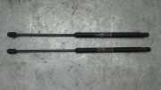 Motorhaubendämpfer Fiat Stilo 1.6 16V 192 2001>2004 8357NO0250N 1596 Stilo