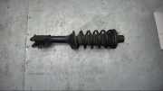 Federbein Hinten Links Land Rover Freelander 1.8i LN 1998>2000 1796 Freelander