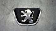 Emblem Grill Peugeot 206 CC 110 Active 2KFX/2NFZ/ 2000>2003 1587 206