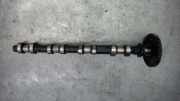 Stirnrad Auslass nockenwelle BMW 320d touring E46 2003>2005 1995 3er