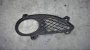 Blende Abdeckung NSW vorne rechts Mercedes-benz CL 600 215 1999>2002 2158850822 5786 S-klasse
