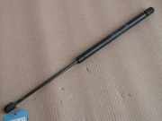 Gasdruckfeder l.Heckklappe Fiat / Lancia Bravo / Brava (Typ:182)