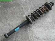 Federbein h.r. VW Golf II 2 Lim. (Typ:191/193/1G1) CL