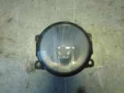 Nebelscheinwerfer links Renault Megane II Grandtour und Stuffenheck (Typ:M