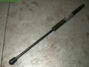 Gasdruckfeder l.Heckklappe Fiat / Lancia Bravo / Brava (Typ:182) Brava S