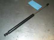 Gasdruckfeder Heckklappe Renault Twingo 1 (Typ:C06)