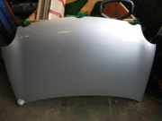 Motorhaube VW Polo IV (Typ:9N)