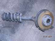 Federbein v.l. m. Achsschenkel 2,0sdi VW Caddy Kasten/Kombi (Typ:2KA/2KB)