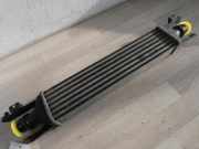 Ladeluftkühler 1,3 CDTi 55kW (1,3 Diesel(1248ccm) 55kW Z13DTJ Z13DTJ)