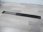 Gasdruckdämpfer hinten 2x Ford Fiesta 6 (Typ:JD3/JH1 Lim. 3-/5-tür) Fiesta ST