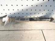 Stoßdämpfer hinten links VW Golf Plus (Typ:1KP/5M) Golf Plus Goal