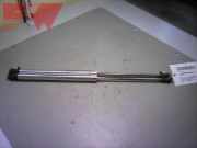 Gasdruckdämpfer hinten VW Polo IV (Typ:9N) Polo