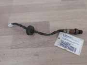 Lambdasonde V (1.1(1124ccm) 55kW (3A91))