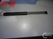 Gasdruckdämpfer hinten Peugeot 206 (Typ:2A/2C)
