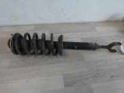 Federbein links 1,9 TDi 96 KW Automatik VW Passat B5 Variant / Lim. (Typ:3BG/3B3/3B6) Variant