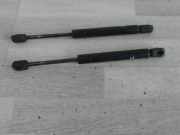 Gasdruckdämpfer hinten 2x Audi A6/S6 Lim./Avant (Typ:4B) *