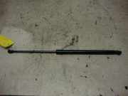 Gasdruckfeder hi Golf V Kombi 1,4 TSI VW Golf V 5 Variant (Typ:1KM/1K5) Golf Variant