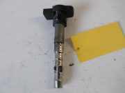 Zündspule A3 8P Bj 2003 2,0 FSI Audi A3/S3 (Typ:8P)