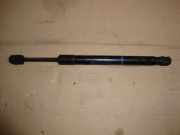 Gasdruckfeder l.Heckklappe A6 S6 4F 5,2 Audi A6/S6/allroad Lim./Avant (Typ:4F) S6 quatrro
