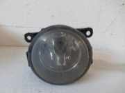 Nebelscheinwerfer links Megane Cabrio Bj 2004 Renault Megane II Coupè/Cabriolet (Typ:EM0/1)