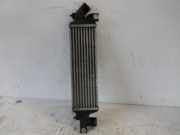 Ladeluftkühler Almera Tino 2,2 TD Bj 04 (2,2 Diesel(2184ccm) 100kW YD22DDTI YD22DDTI)