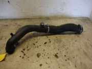 Luftschlauch / Rohr Scenic III 2,0 DCI Renault Scenic 3 (Typ:JZ)
