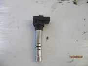 Zündspule Seat Ibiza 6L Bj 2007 Seat Ibiza Lim. (Typ:6L)