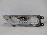 Nebelscheinwerfer links Tiguan ab Bj 02/2016 VW Tiguan (Typ:)