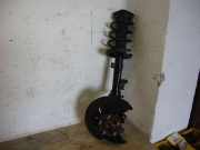 Federbein v.r. Kuga 2,5 Bj 09 (2,5(2521ccm) 147kW HDYB/HDYC HDYB/HDYC Getriebe 6-Gang M66 (Benziner))