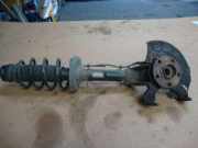 Federbein v.l. A3 8L 1,6 Bj 98 Audi A3/S3 (Typ:8L)