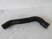 Luftschlauch Ducato 2,3 Bj 2009 Fiat / Lancia Ducato (Typ:250/251)