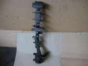 Federbein v.l. Micra k12 1,5 TD Nissan Micra (Typ:K12)