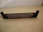 Ladeluftkühler Alhambra 1,9 TDI (Diesel 1,9 (1896ccm) 81KW AFN AFN)