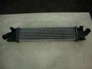 Ladeluftkühler Focus 1,6 TDCI Bj 06 (1,6 Diesel(1560ccm) 80KW)