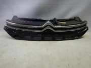 Citroen C3/III/S Kühlergrill, Frontgrill, Kühlerverkleidung, Grill, Frontgitter